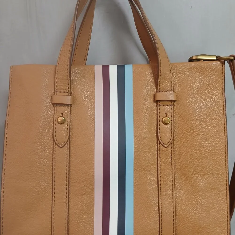 Fossil Tan Satchel with Striped Accent